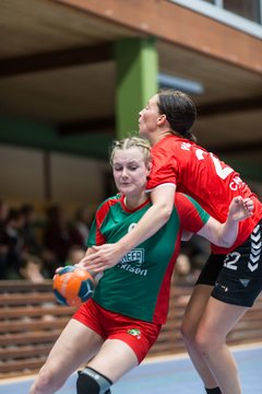 Bild 183 - Frauen HSG Krem/Muensterdorf - HG OKT 3 : Ergebnis: 33:21